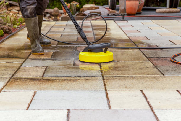 Best Solar Panel Cleaning  in Tenaha, TX