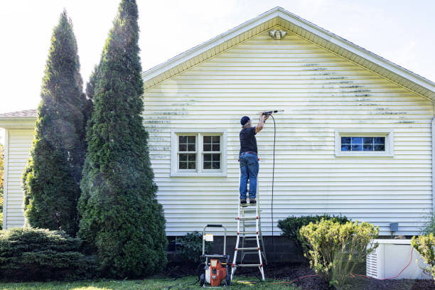 Best Building Exterior Washing  in Tenaha, TX